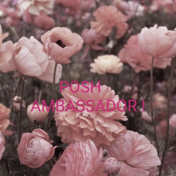 I'm a Posh Ambassador! - Picture 1 of 1